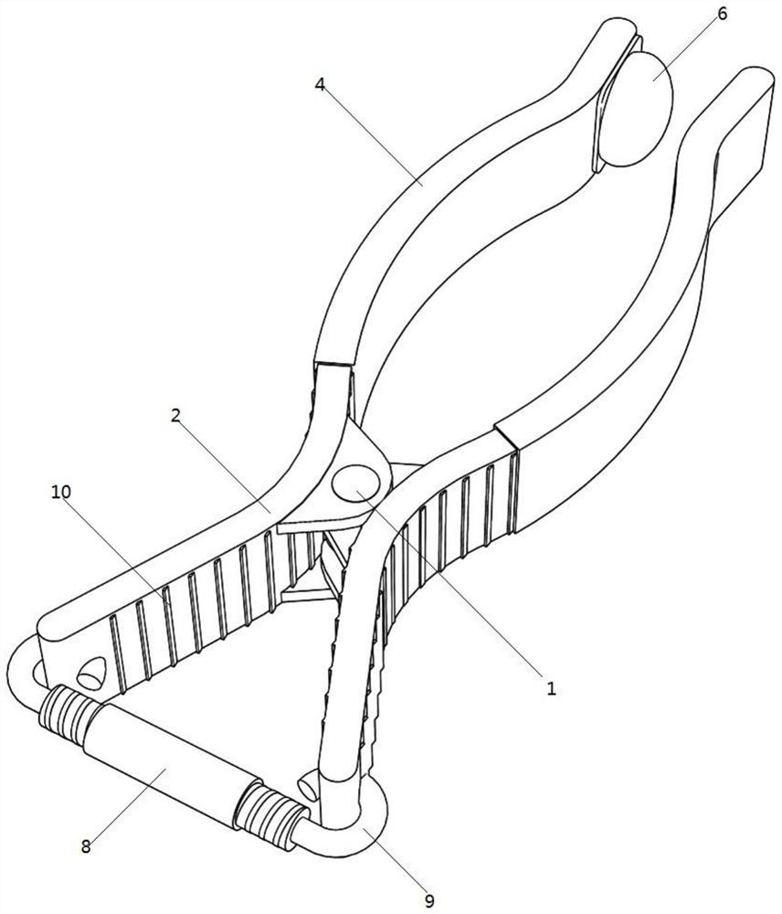 Oral ulcer fixed-point nursing device