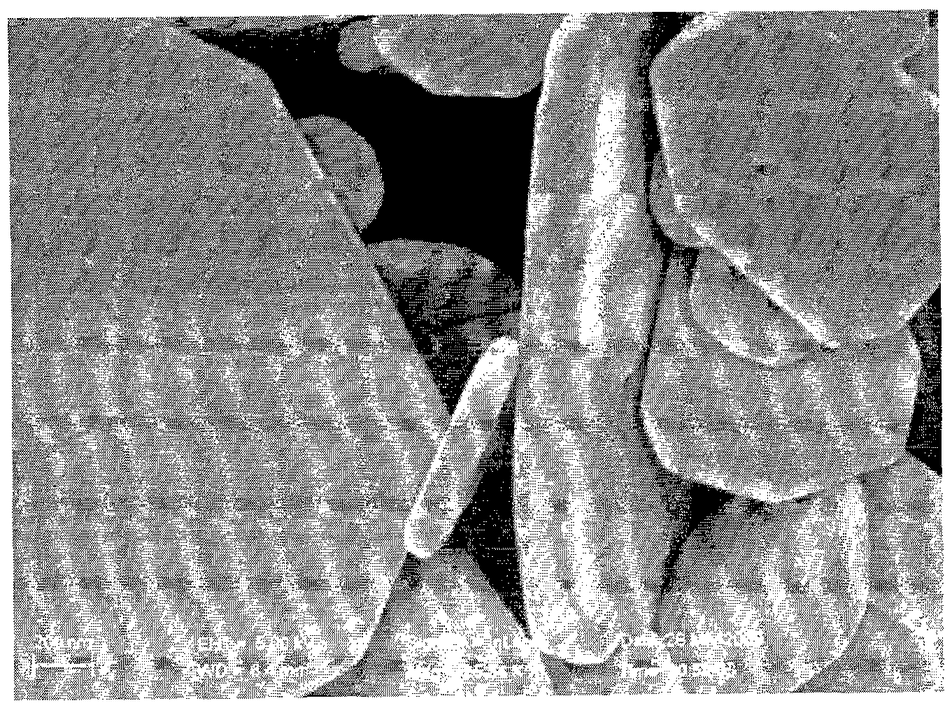 Method for preparing bismuthyl chloride nano-flower