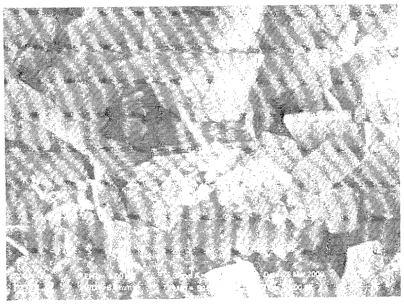 Method for preparing bismuthyl chloride nano-flower