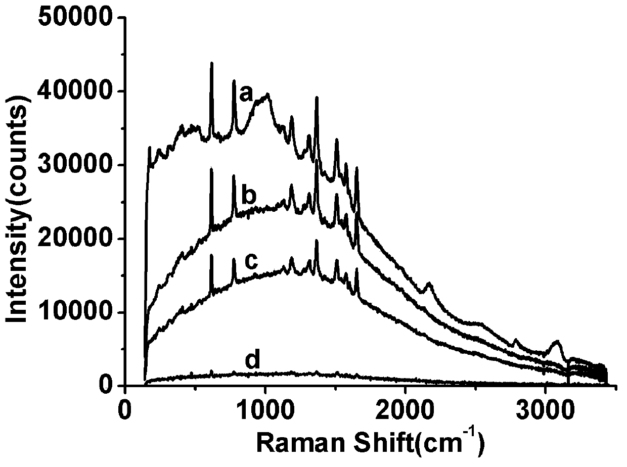 Raman spectrum measurement system