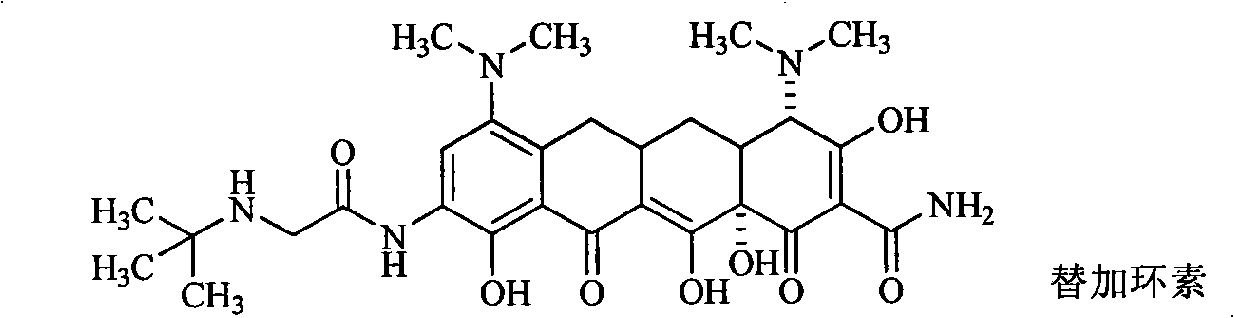 Piperazinone substituted tetracycline derivatives