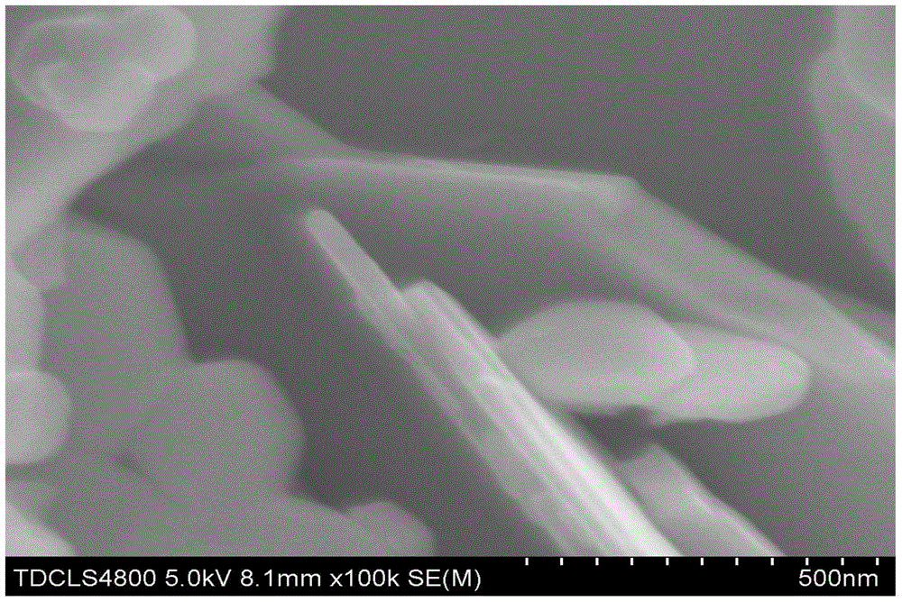 Molybdenum disulfide nano-sheet preparation method based on sodium chloride template