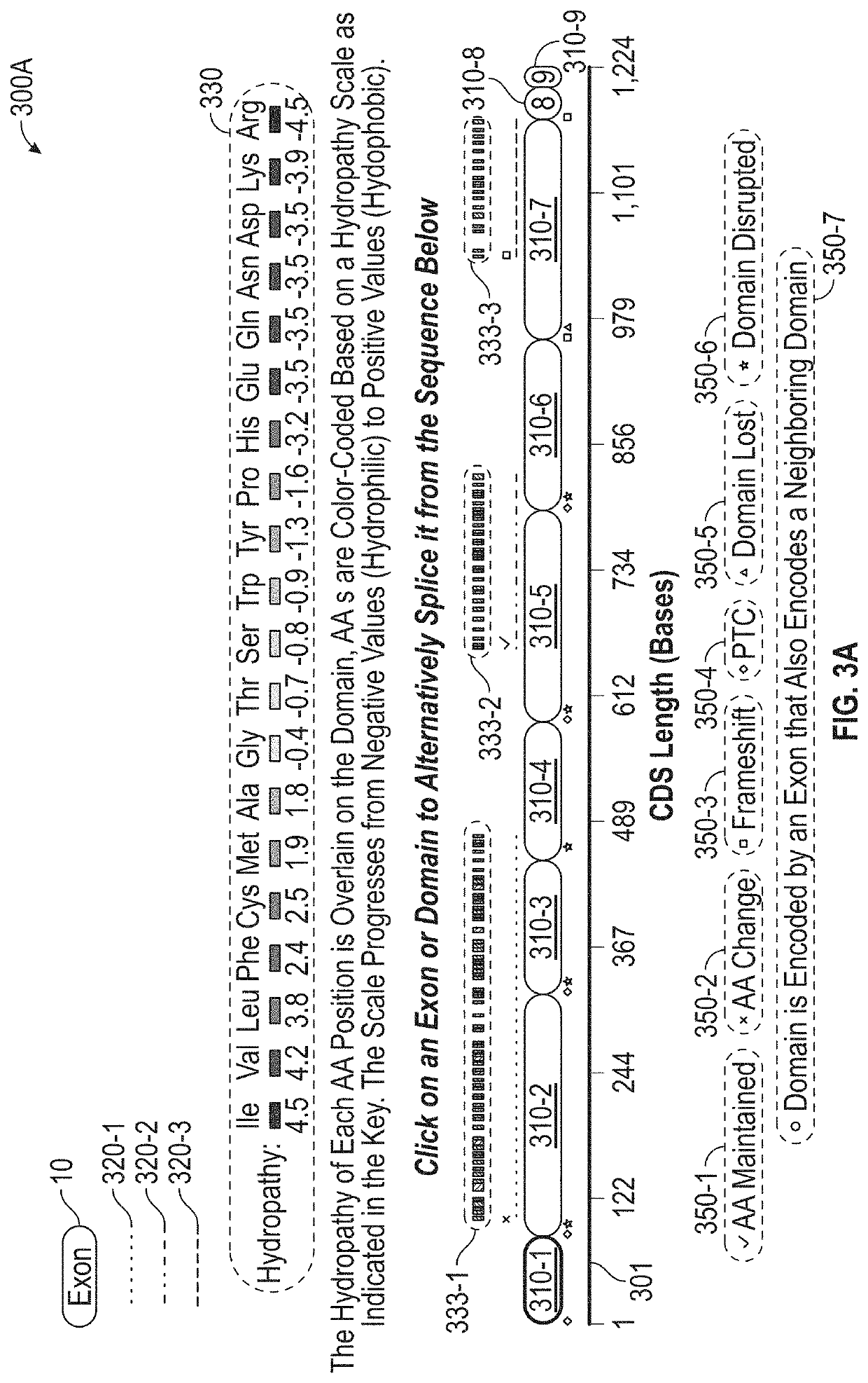 Unified portal for regulatory and splicing elements for genome analysis