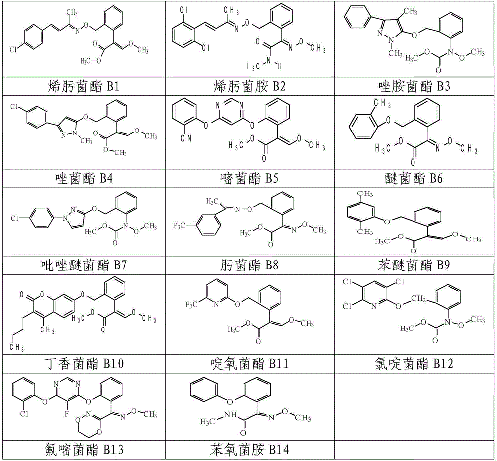 Fungicidal composition containing penthiopyrad fungicide and application of fungicidal composition