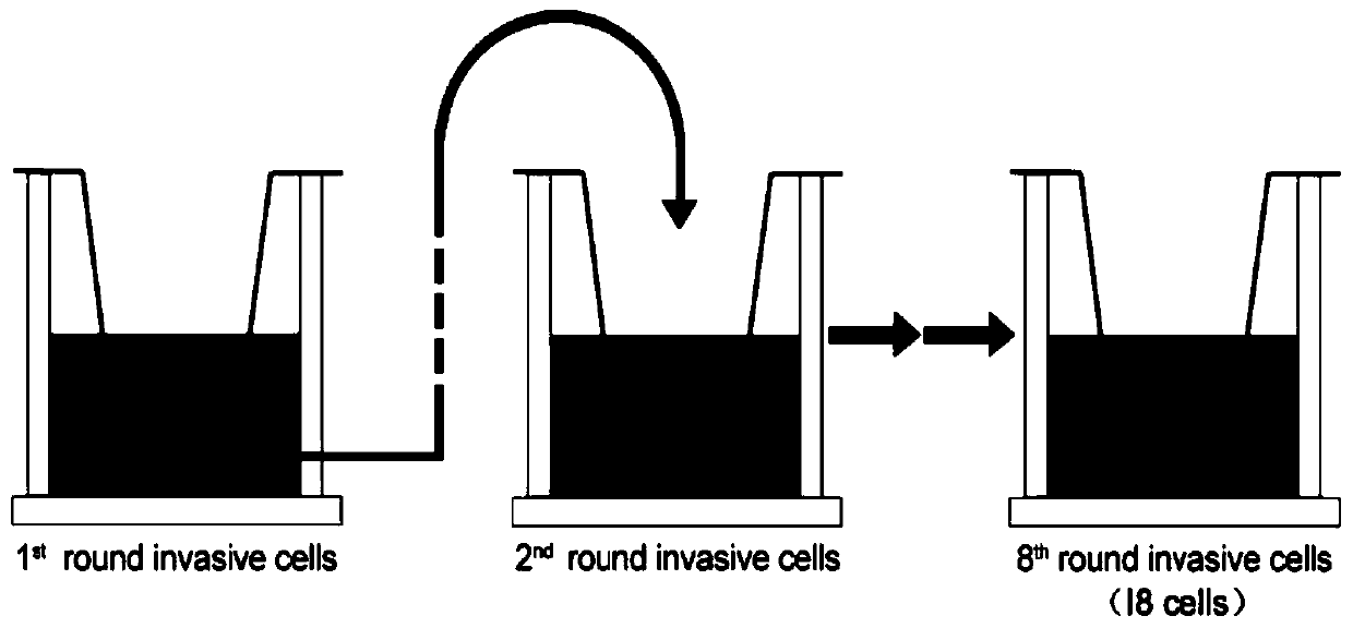 A method to detect the proteome in colorectal cancer