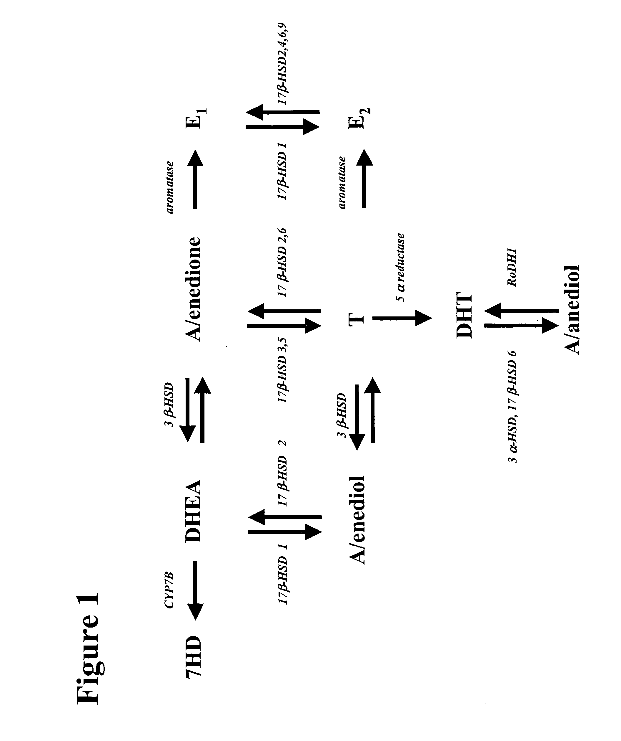 Uses of Erss Modulators