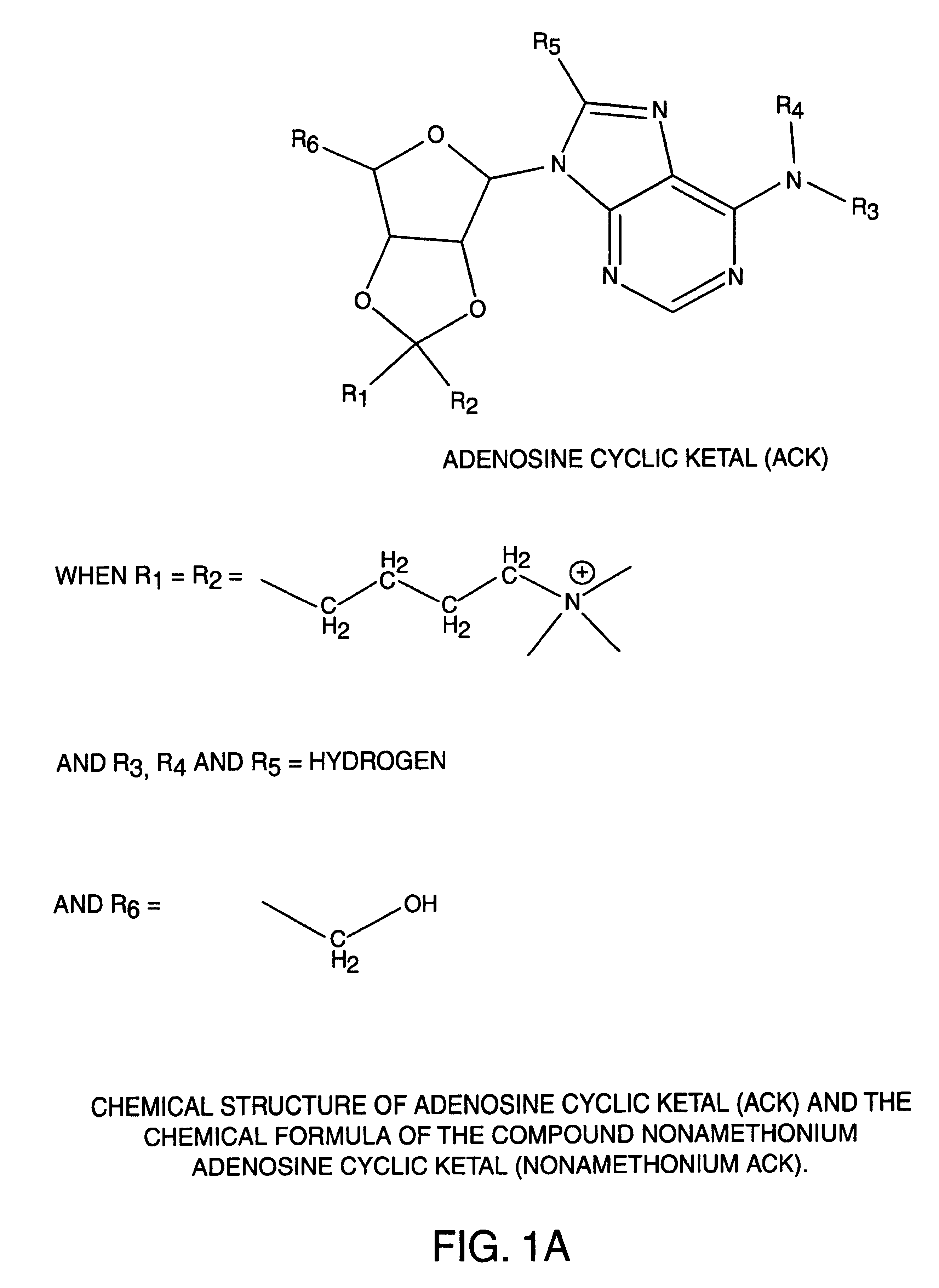 Adenosine cyclic ketals: novel adenosine analogues for pharmacotherapy