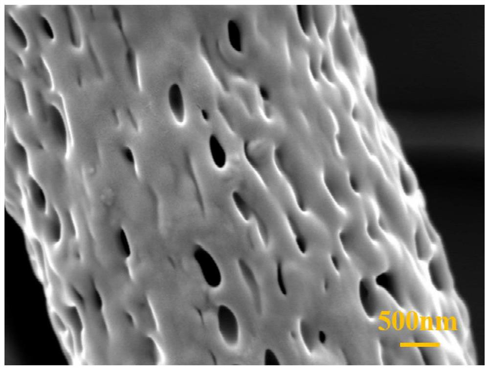 Porous skin-core structure phase-change temperature-regulating controlled-release fiber dressing and preparation method thereof