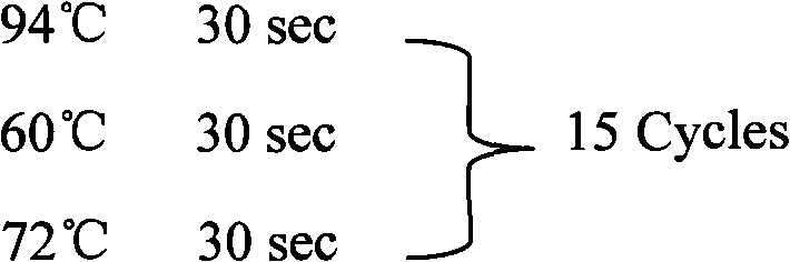 Method for extracting microRNA precursor cDNA from cDNA library synthesized from small RNA