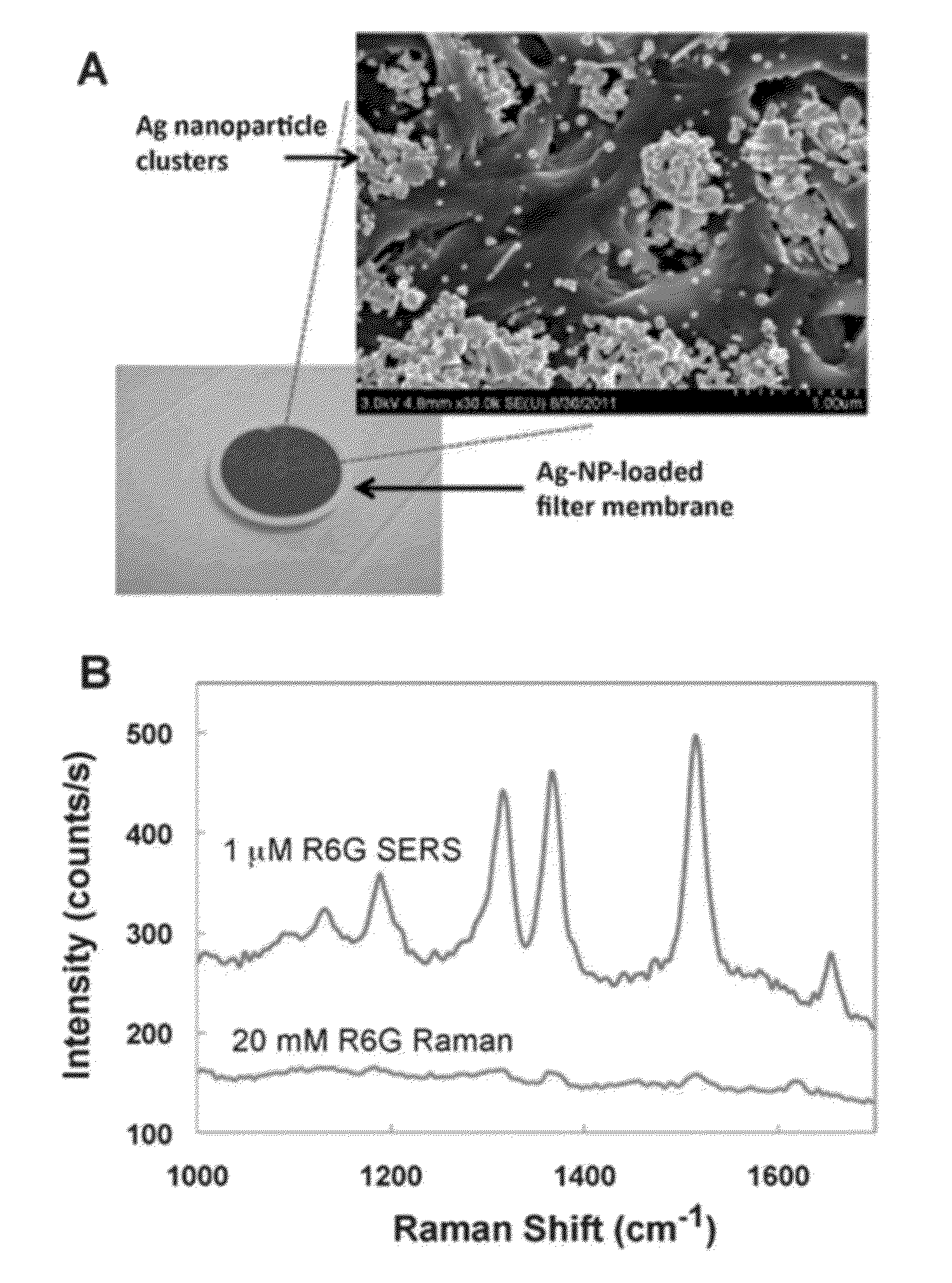 Porous SERS analytical devices and methods of detecting a target analyte