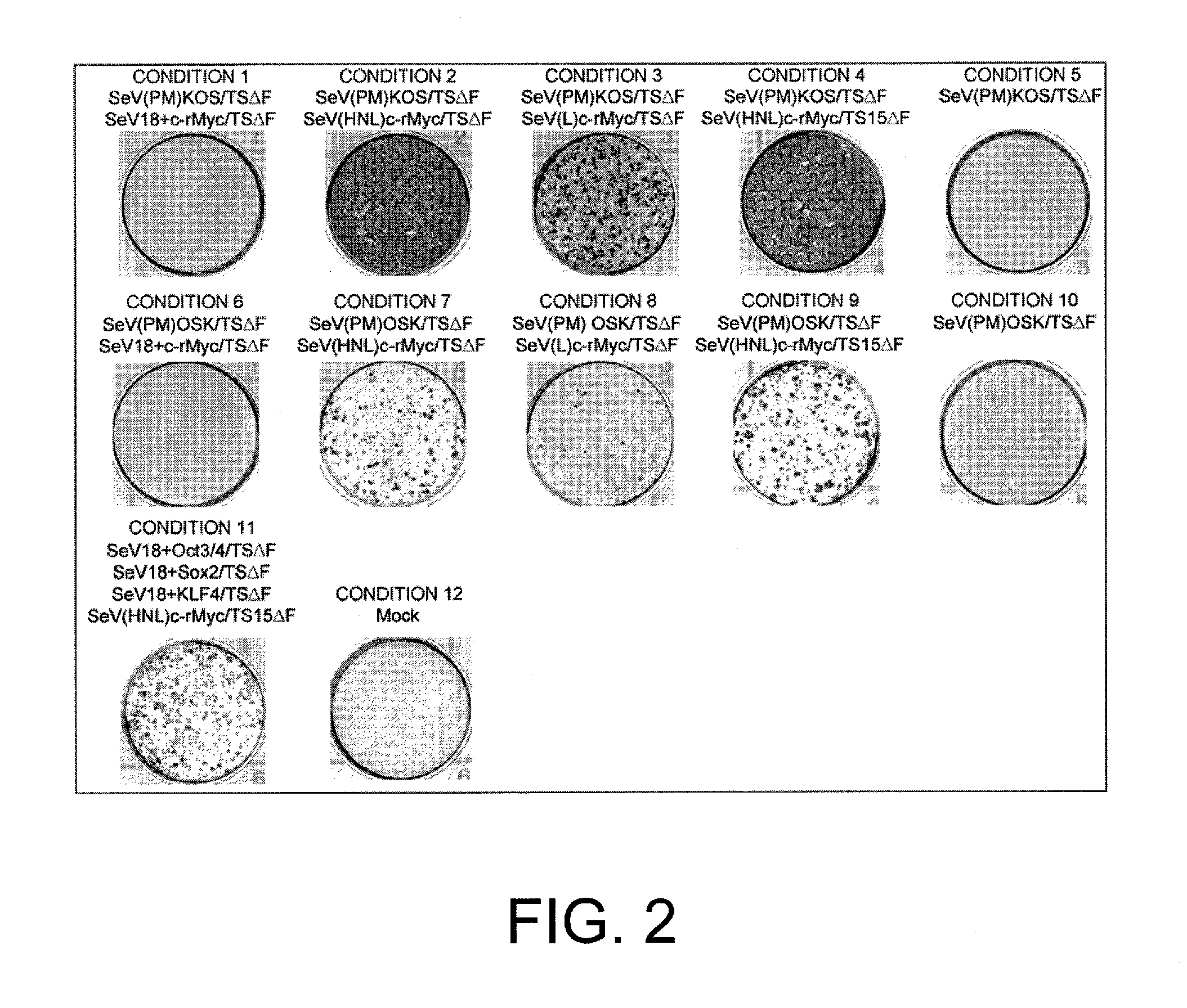 Composition for inducing pluripotent stem cell, and use thereof