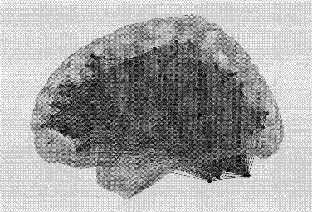 Image voxel and priori brain atlas division fused brain network construction method