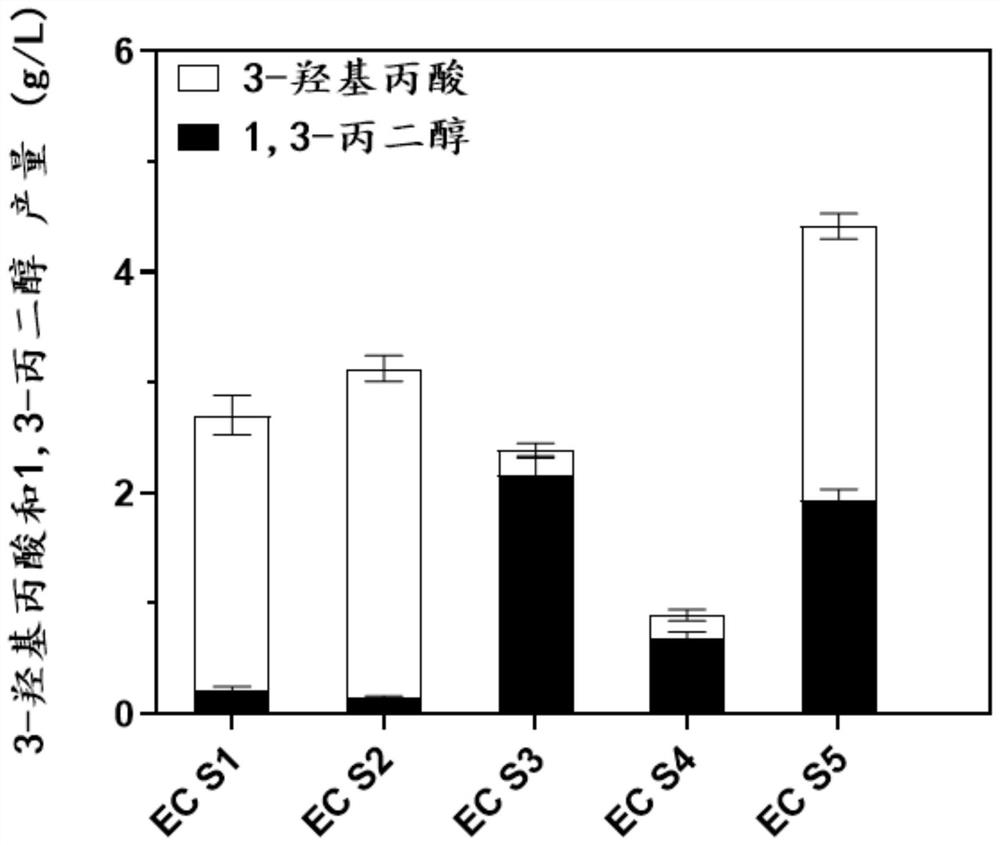 Genetically engineered bacterium EC01 S7 for co-production of 3-hydracrylic acid and 1, 3-propylene glycol as well as construction method and application of genetically engineered bacterium EC01 S7