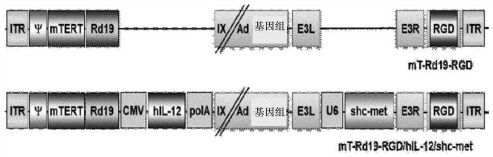 Anti-tumor composition