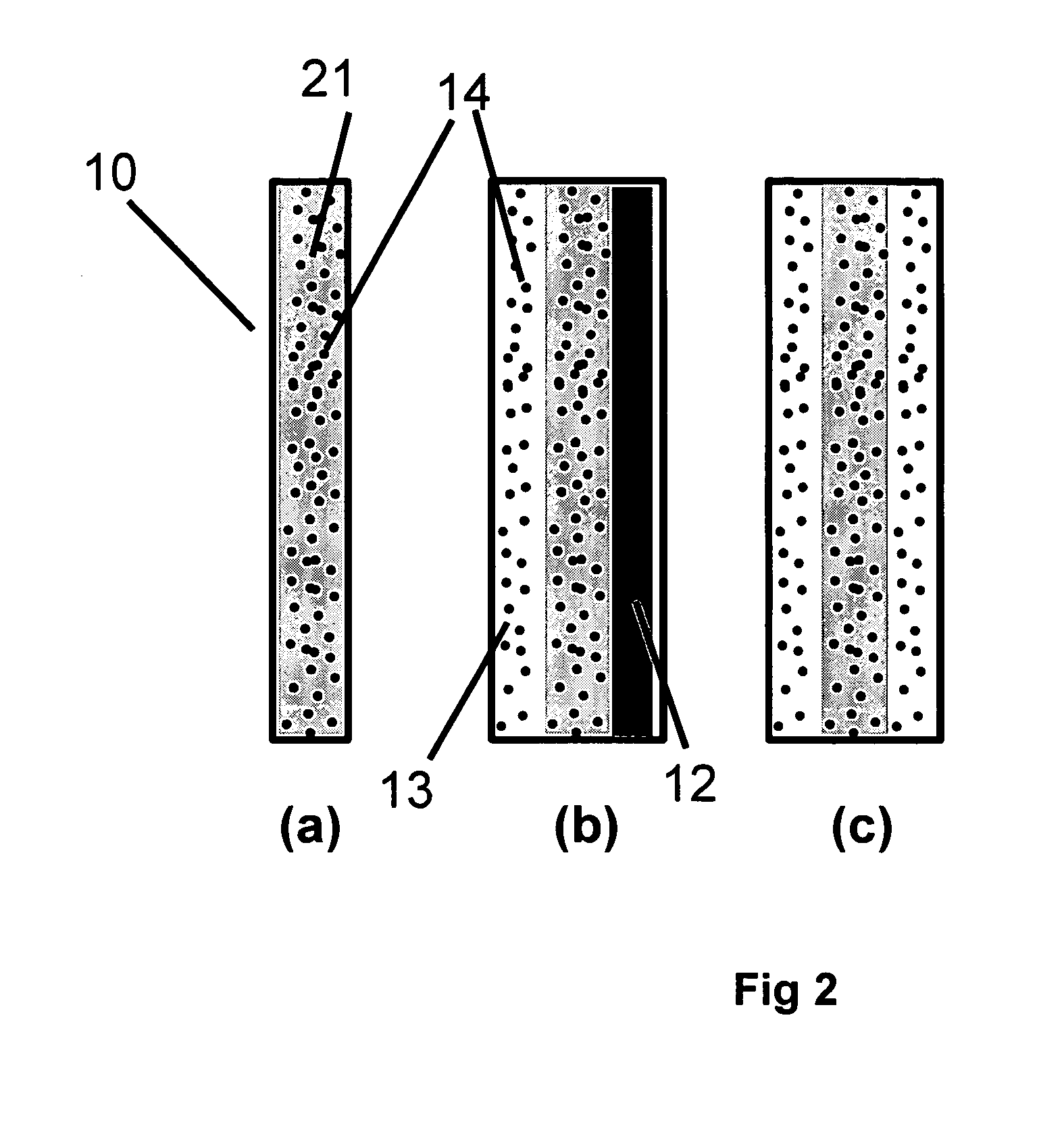 Solid polymer electrolyte and process for making same