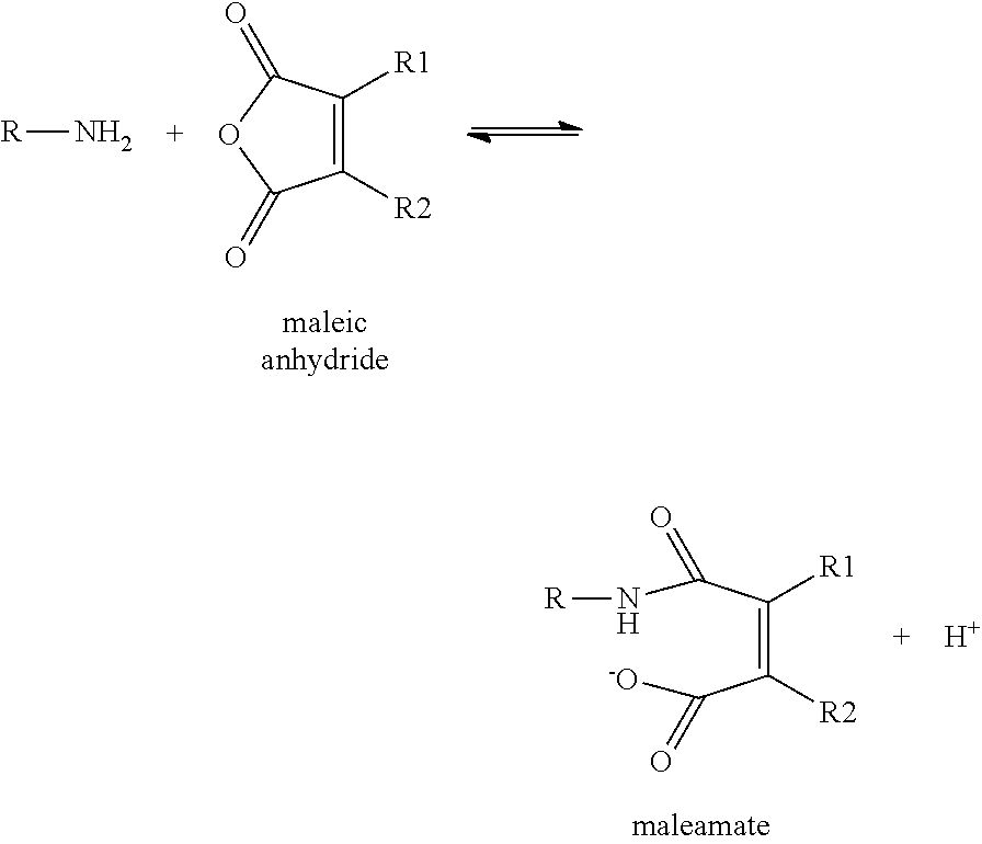 Disubstituted Maleic Anhydrides with Altered Kinetics of Ring Closure