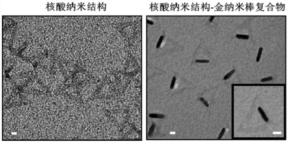 Nucleic acid nano structure carrier-precious metal photosensitive contrast agent composite for living organism photo-acoustic imaging, preparation method and applications thereof