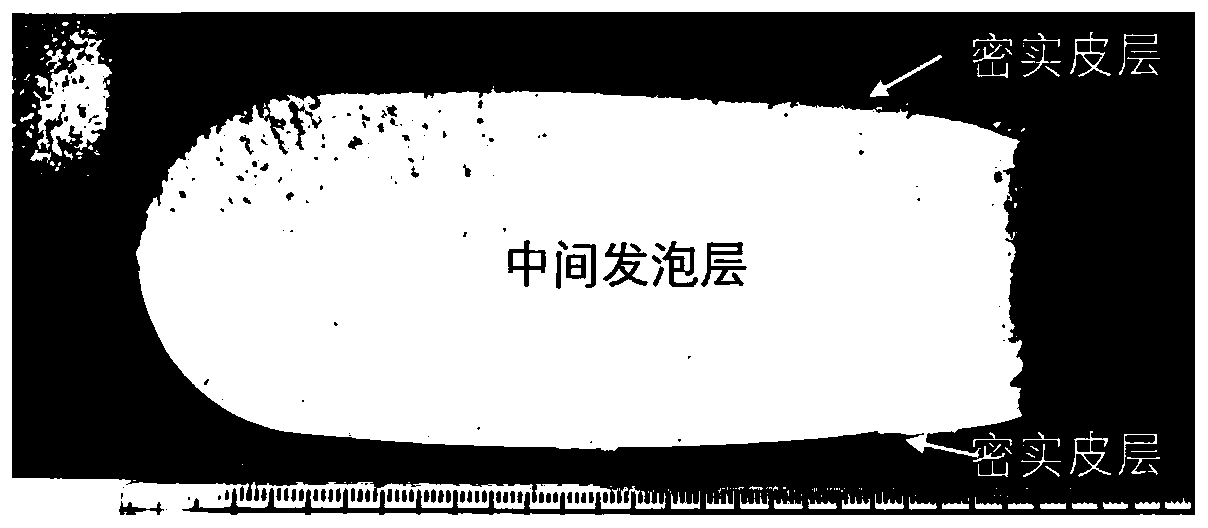 A kind of lightweight high-strength polypropylene foam material and its preparation method and application