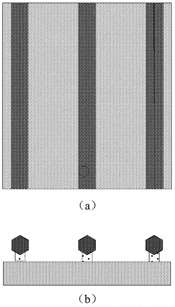 A kind of controllable array nanowire and preparation method of field effect transistor