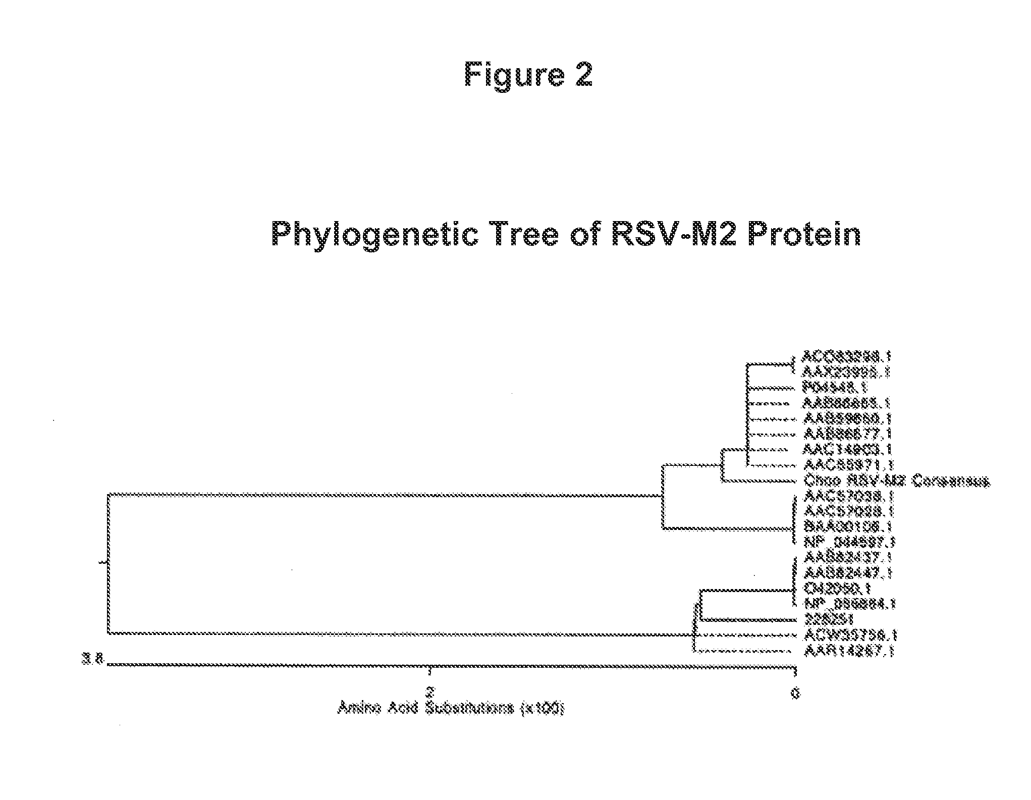 Human Respiratory Syncytial Virus Consensus Antigens, Nucleic Acid Constructs And Vaccines Made Therefrom, And Methods Of Using Same