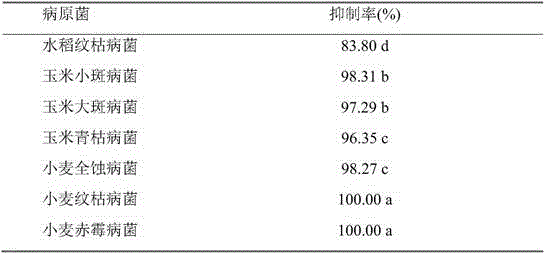 Application of carpesium abrotanoides extracts