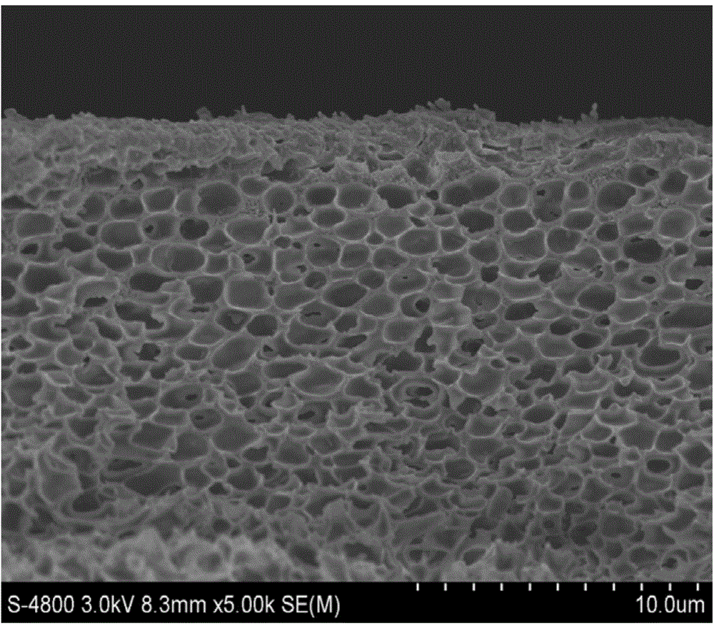 Composite lignin nanofiltration membrane and preparation method thereof