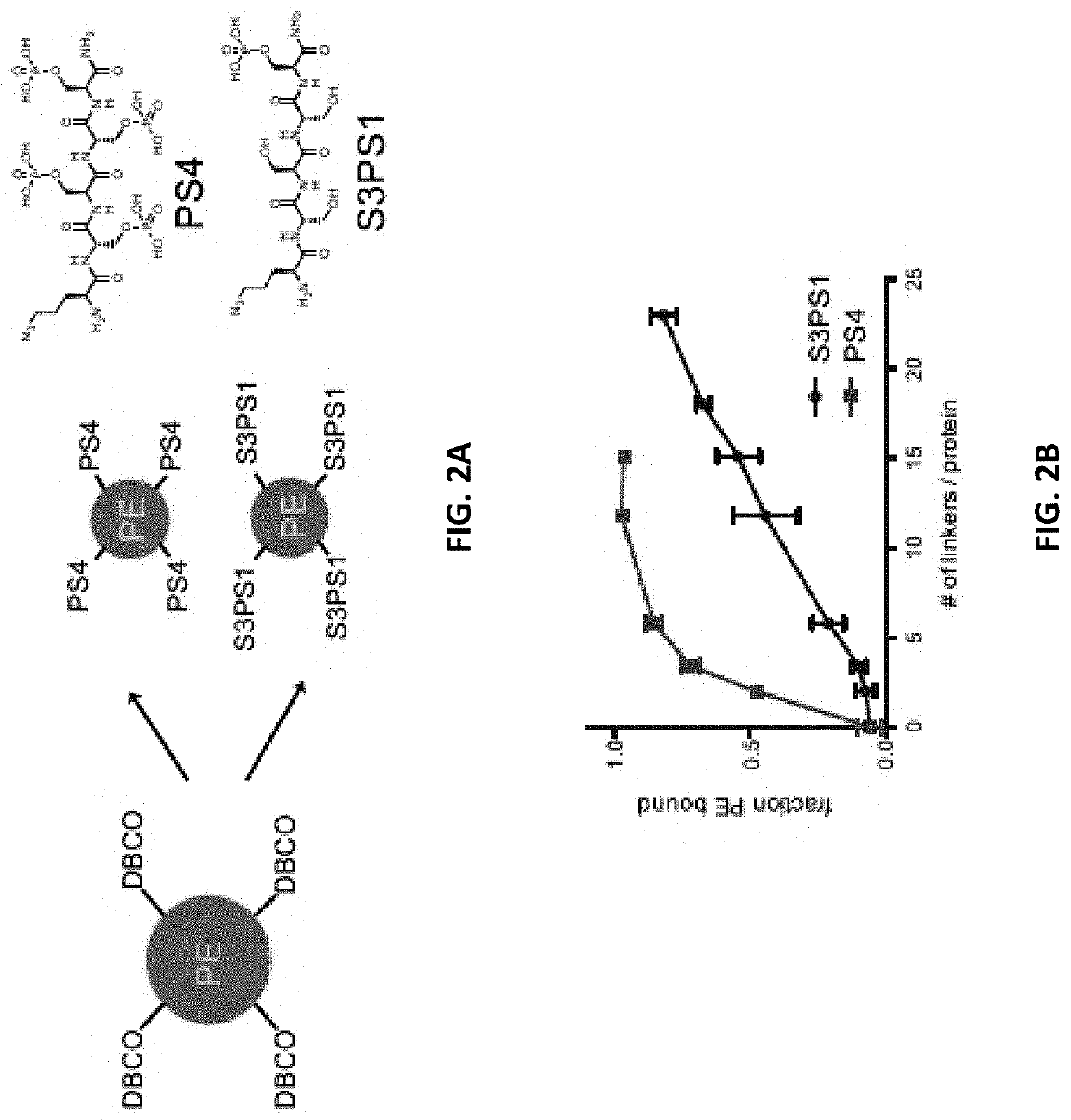 Antigen-adjuvant coupling reagents and methods of use