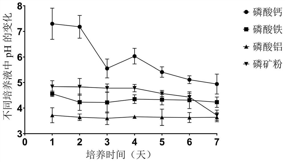 Novosphingobium capsulatum and application thereof