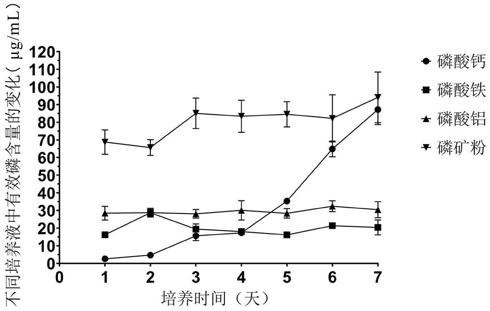 Novosphingobium capsulatum and application thereof