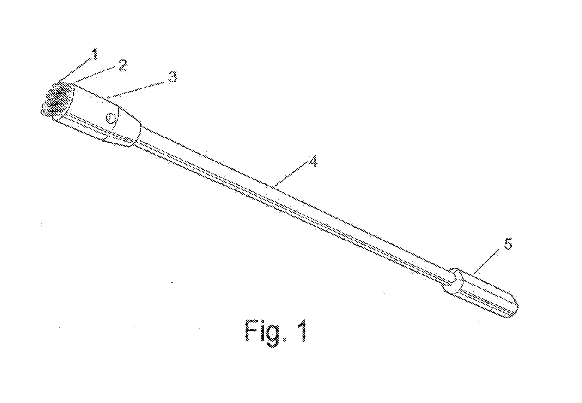 Frictional trans-epithelial tissue disruption collection apparatus and method of inducing an immune response