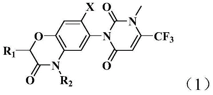 Pyrimidine diketone compounds containing benzoxazine ring and application thereof