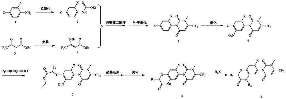 Pyrimidine diketone compounds containing benzoxazine ring and application thereof