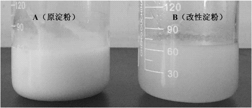 Thermochemical modified starch, preparation method and method for preparing adhesive by using thermochemical modified starch