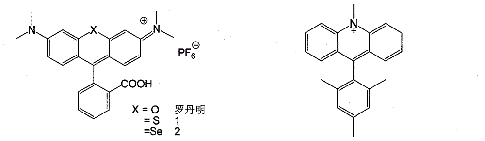 Nitrogen-containing cation chromophore and preparation thereof