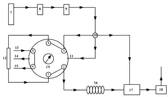 Helium ion gas chromatograph and use method thereof