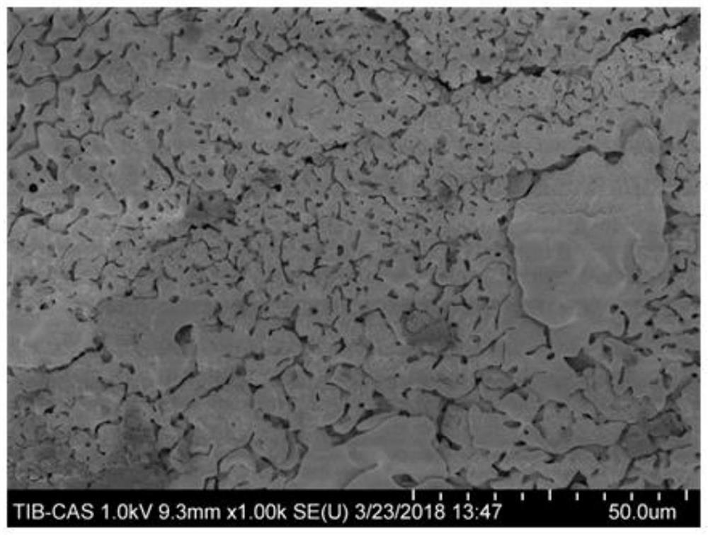 Shell powder-based porous high-temperature-resistant material as well as preparation method and application thereof