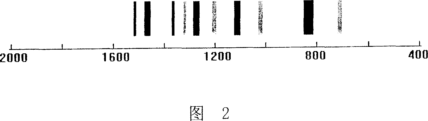 Method for coding and identifying resin microsphere by infrared spectrum