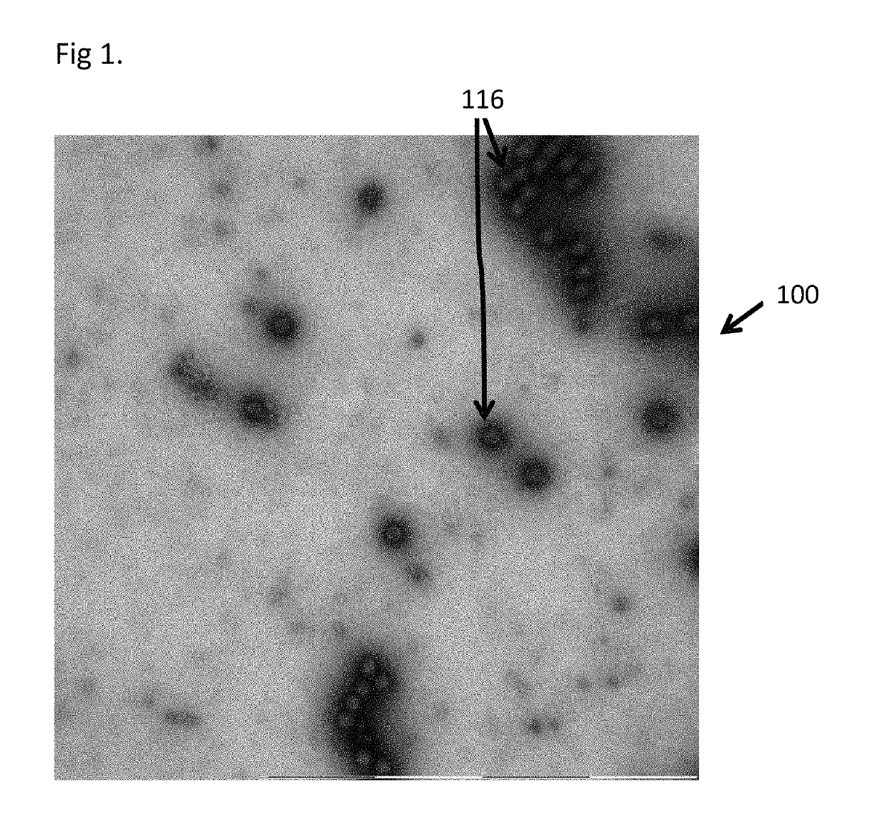 Method for quantification of purity of sub-visible particle samples
