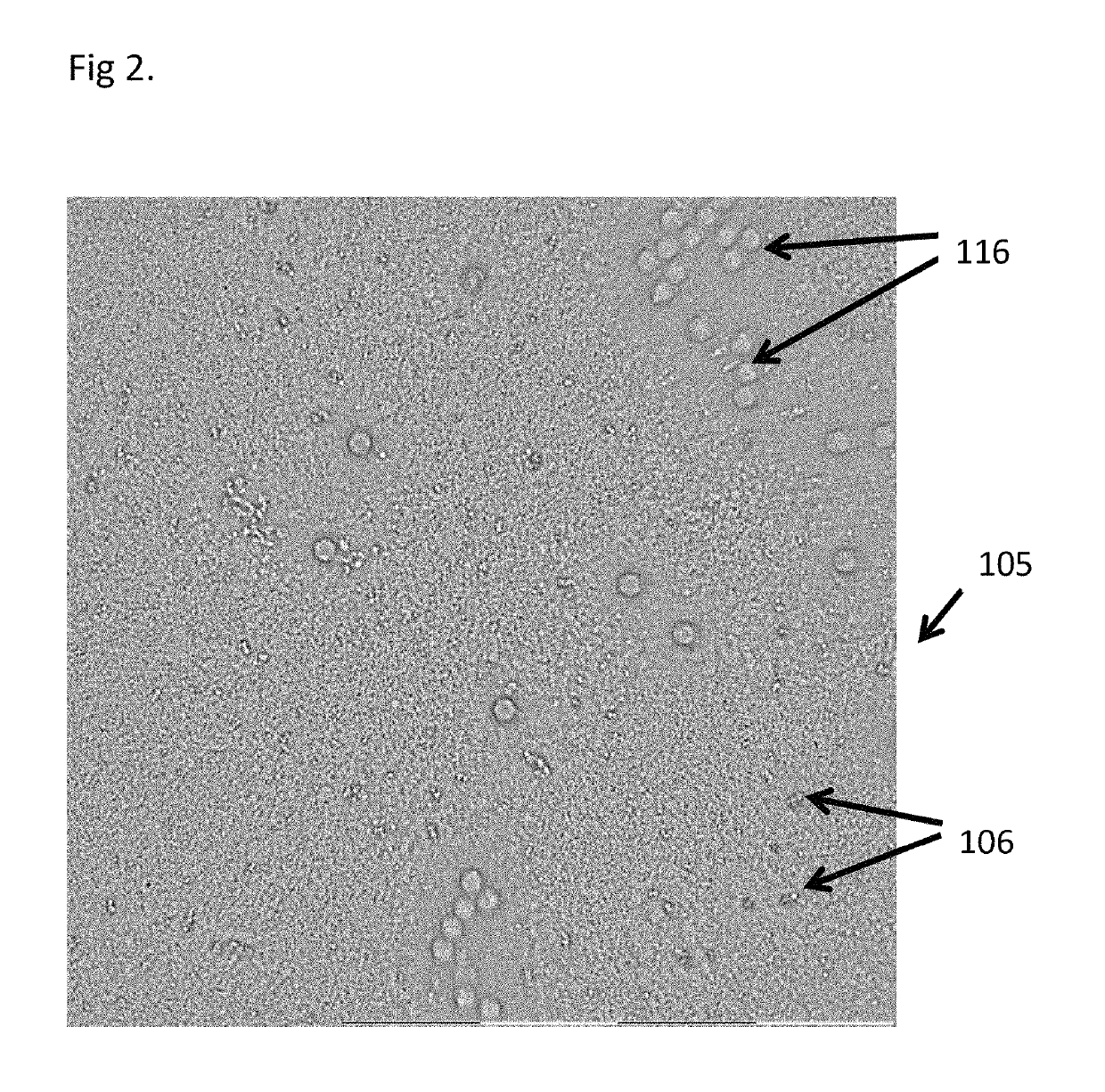 Method for quantification of purity of sub-visible particle samples
