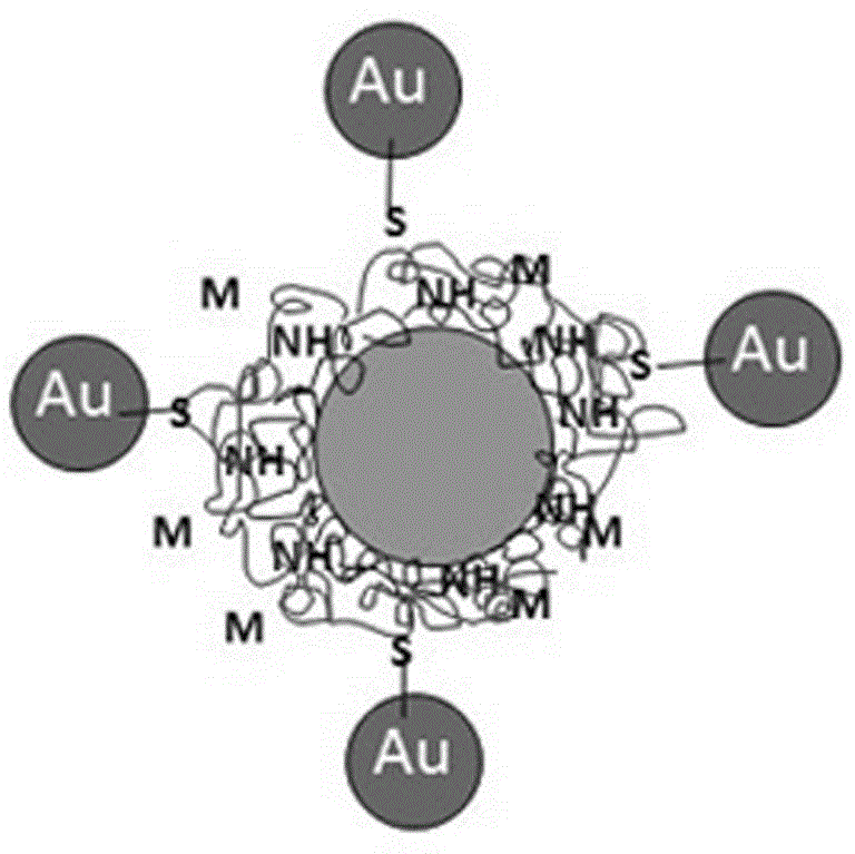 Functionalization method for modifying surfaces of magnetic particles with gold nanoparticles