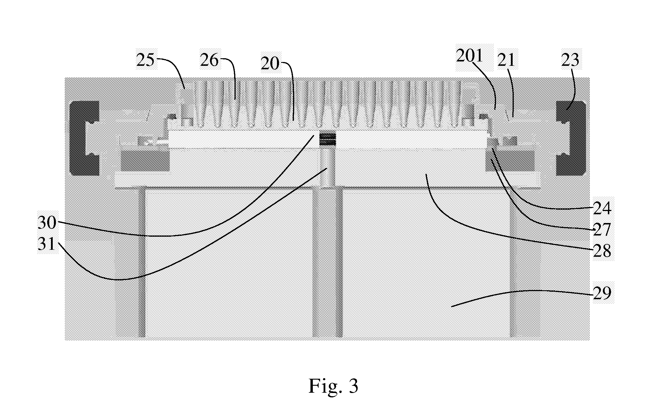 Thermal Cycler With Optimized Sample Holder Geometry