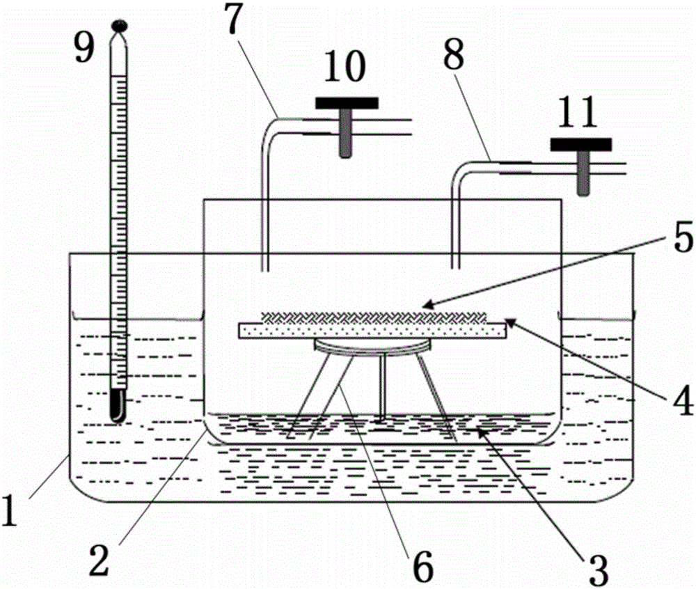 Conducting polymer film and positive pole piece modified by same