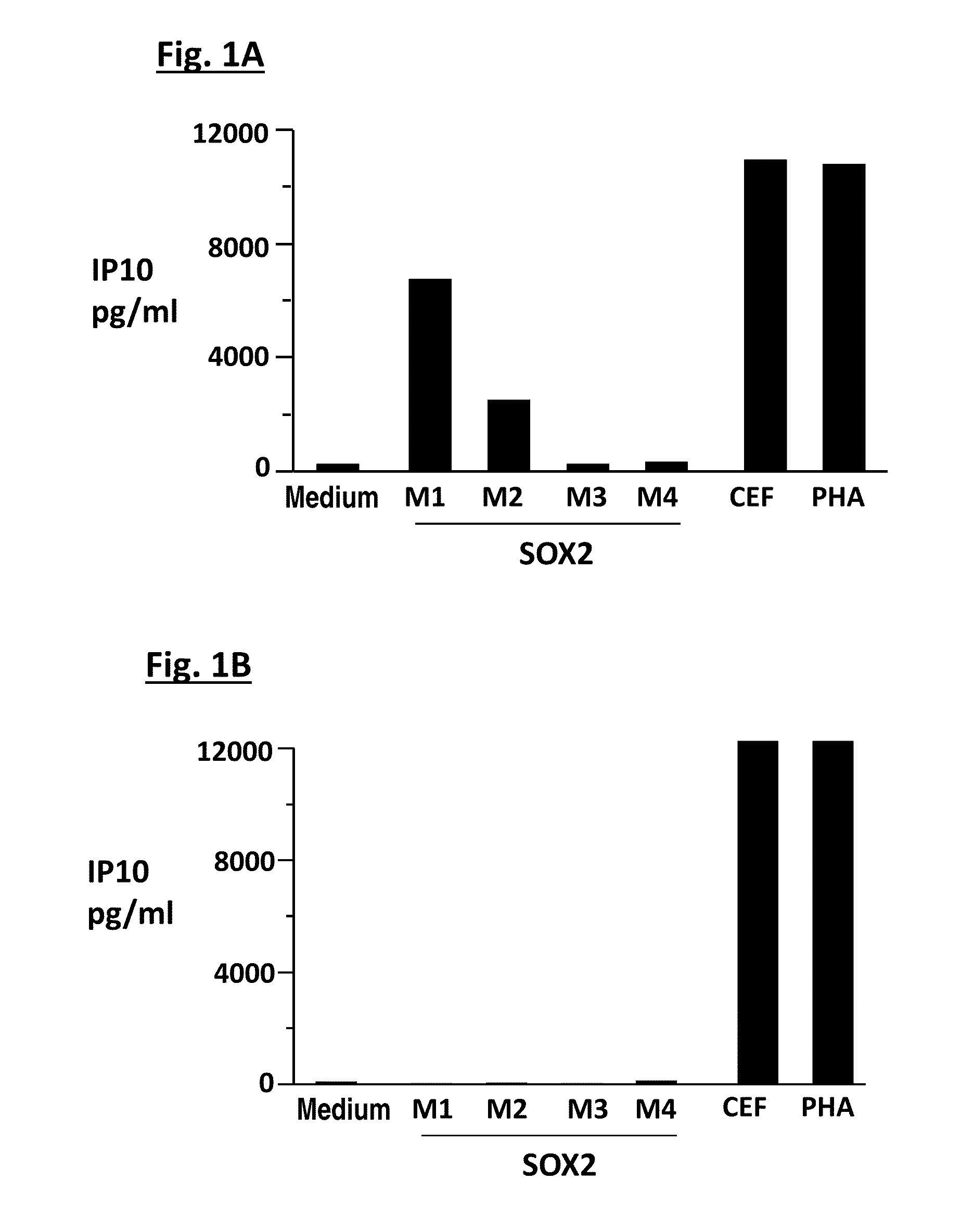 Immune Biomarkers and Assays Predictive of Clinical Response to Immunotherapy for Cancer