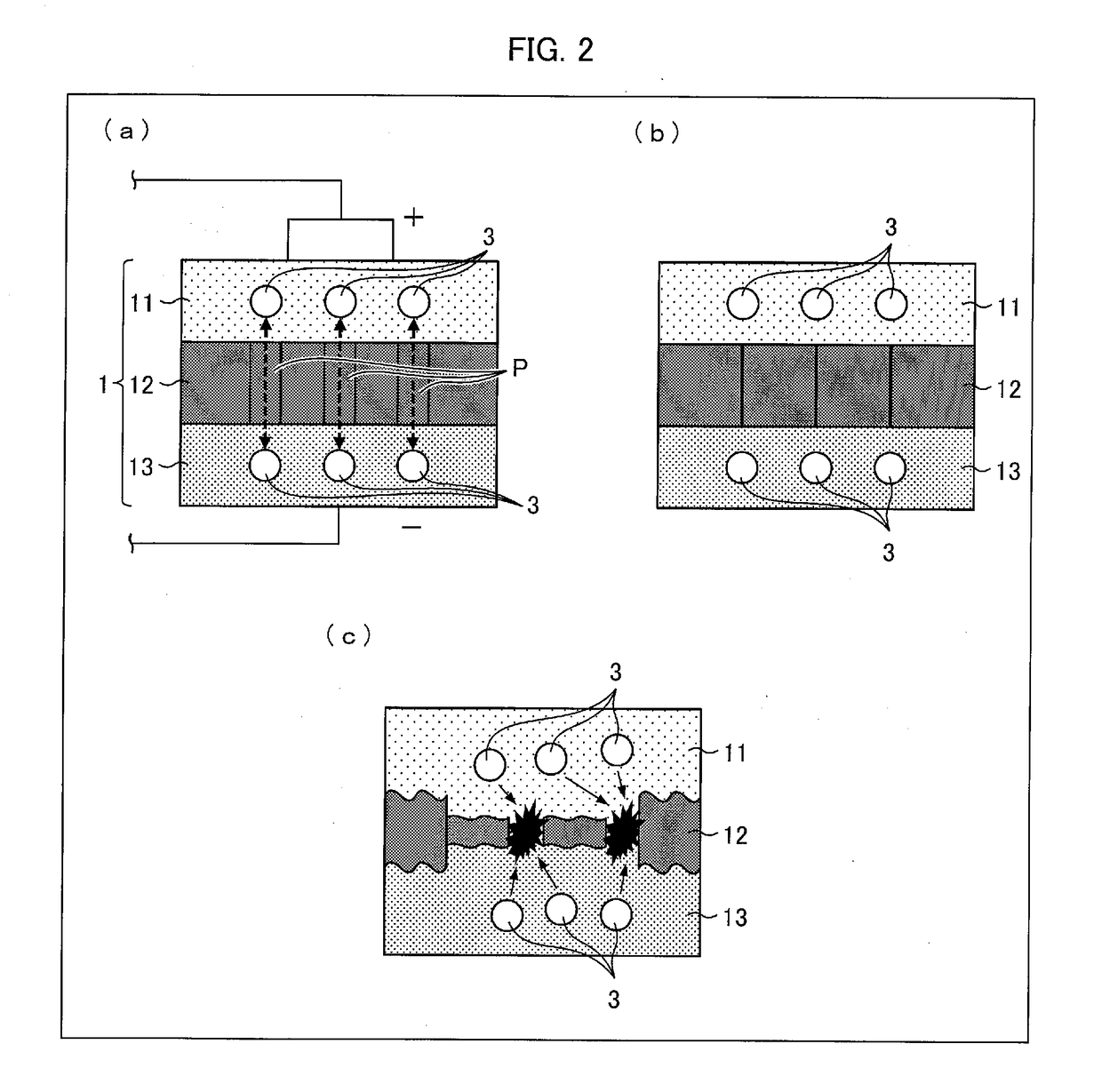 Expander device, porous film production apparatus, and porous film producing method