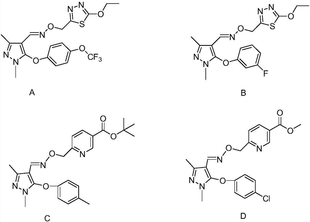 Pyrazole oxime ether compound containing pyrazole biphenyl structure, and preparation method and application thereof