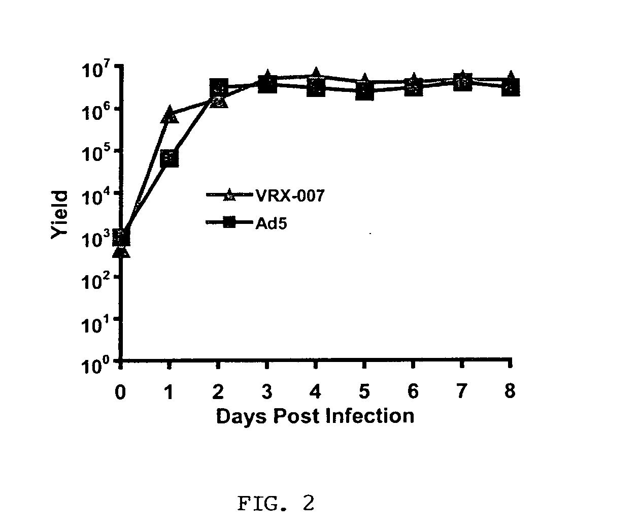 Models for viral-based cancer therapy