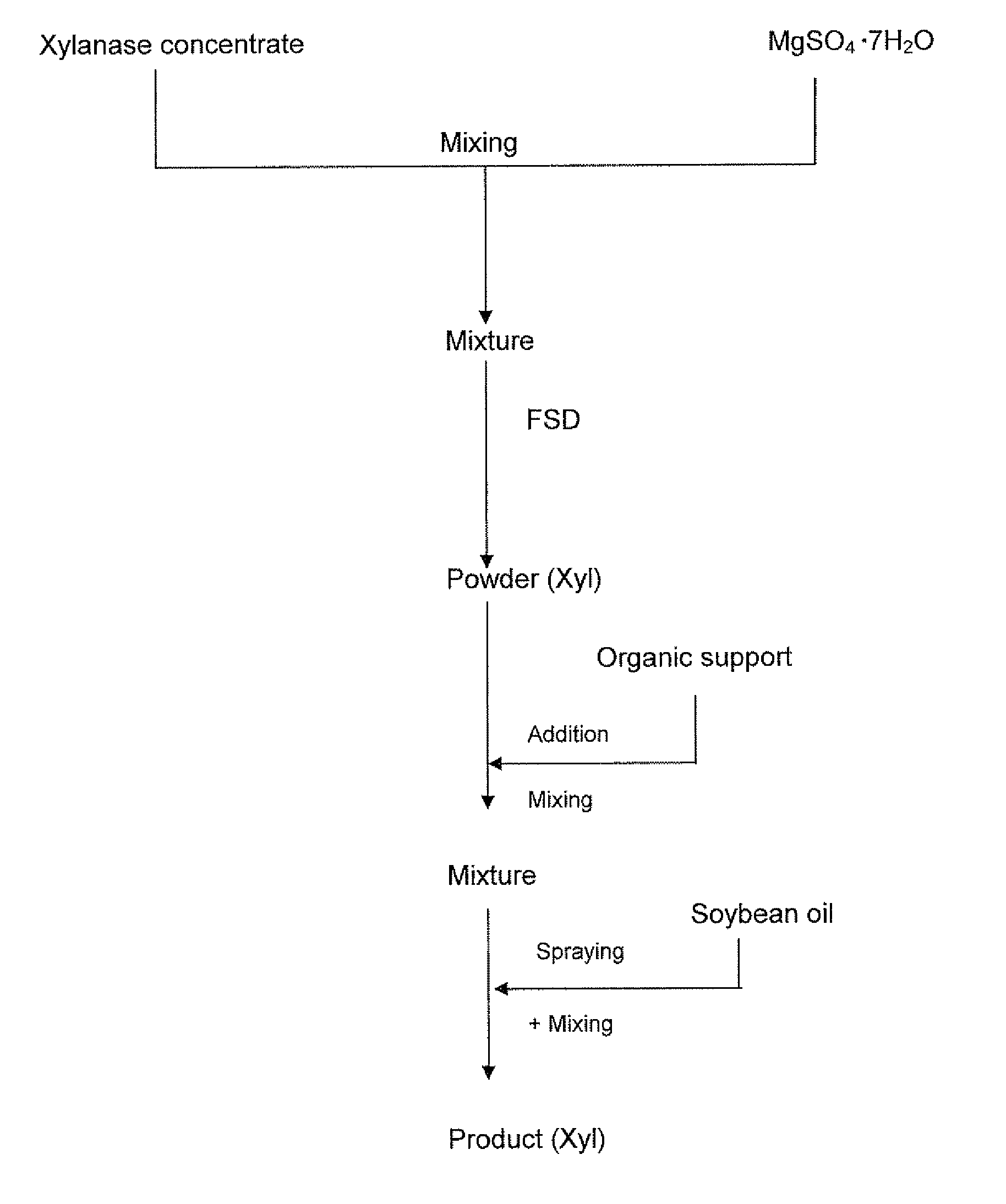 Solid enzyme formulations and process for their preparation