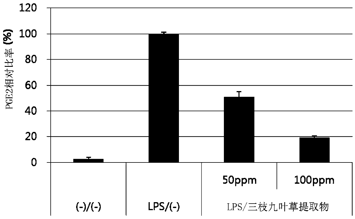 Composition for prevention or treatment of oral disease comprising Epimedium Herb extract