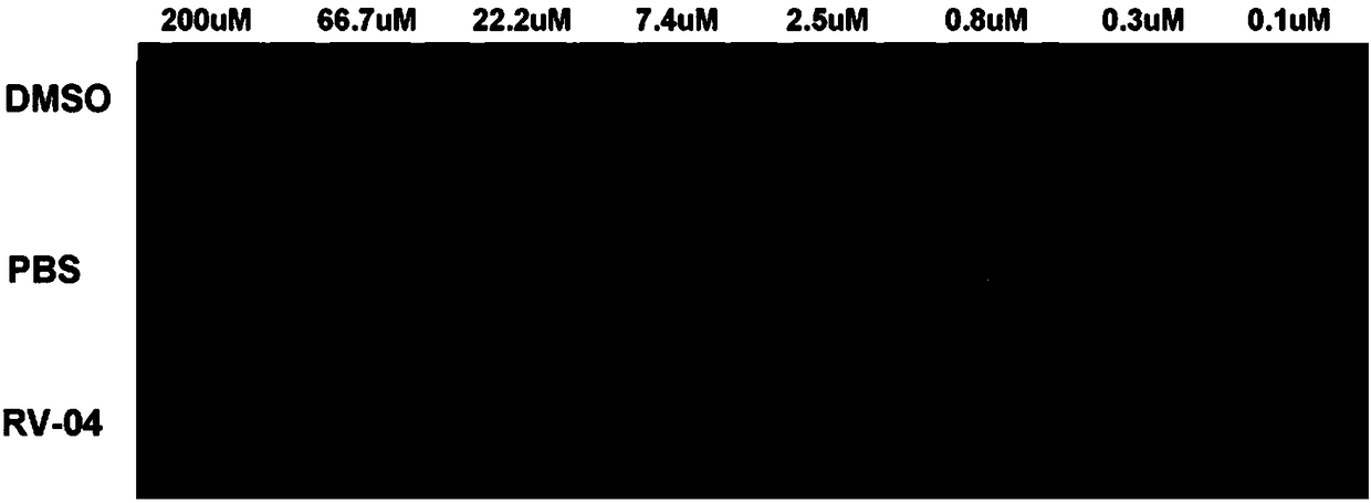 Broad spectrum antiviral inhibitor