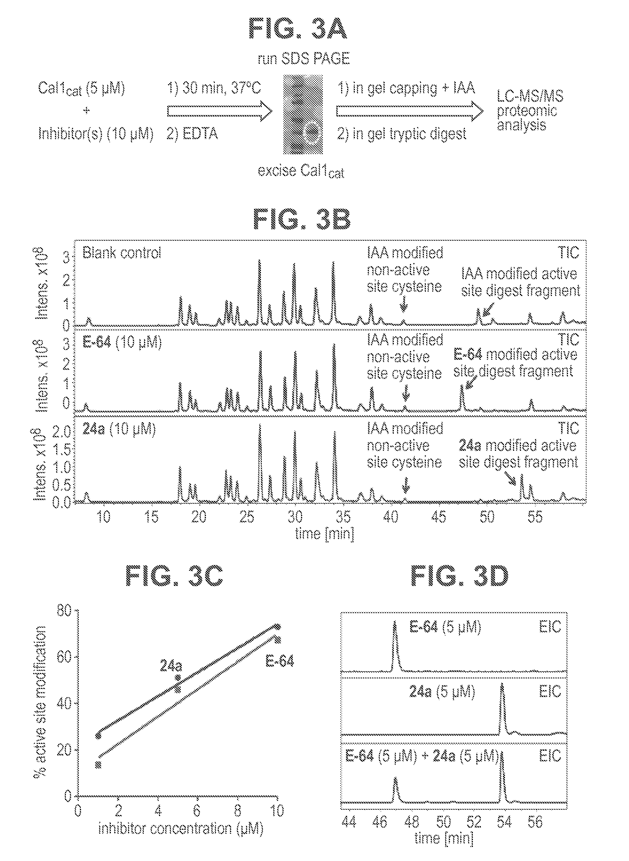 Novel Cysteine Protease Inhibitors and Uses Thereof